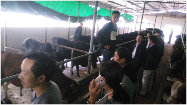 �ͼ�app��(�й���½)�ٷ���վ