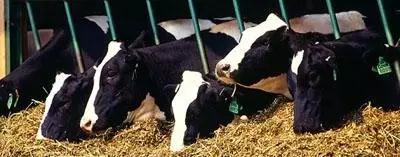 �ͼ�app��(�й���½)�ٷ���վ