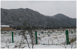 �ͼ�app��(�й���½)�ٷ���վ