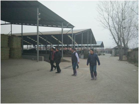 �ͼ�app��(�й���½)�ٷ���վ