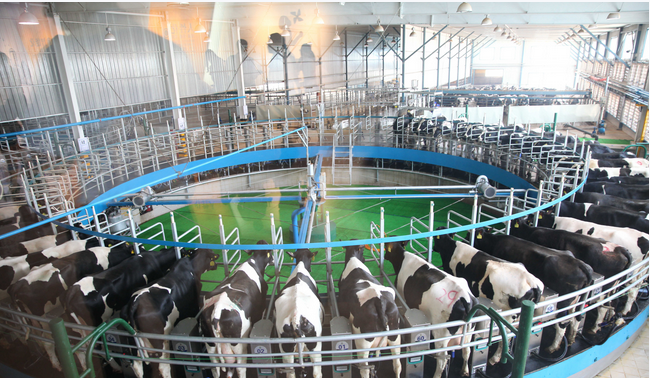 �ͼ�app��(�й���½)�ٷ���վ