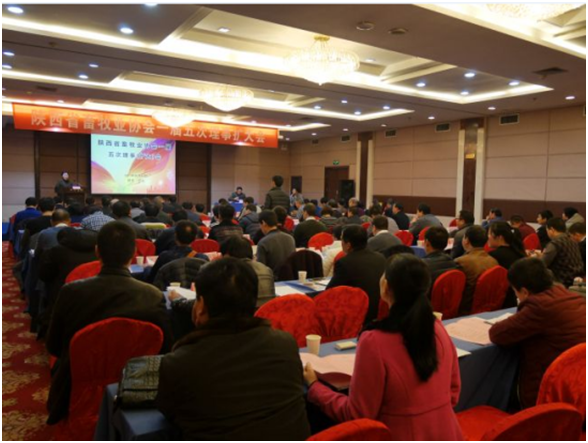 �ͼ�app��(�й���½)�ٷ���վ