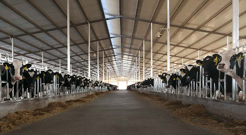 �ͼ�app��(�й���½)�ٷ���վ