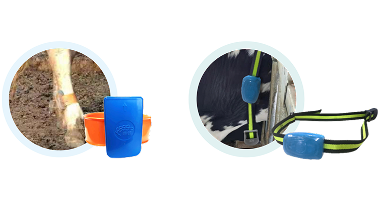 �ͼ�app��(�й���½)�ٷ���վ