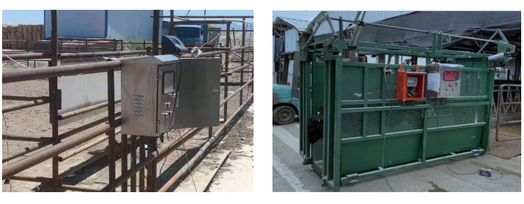 �ͼ�app��(�й���½)�ٷ���վ