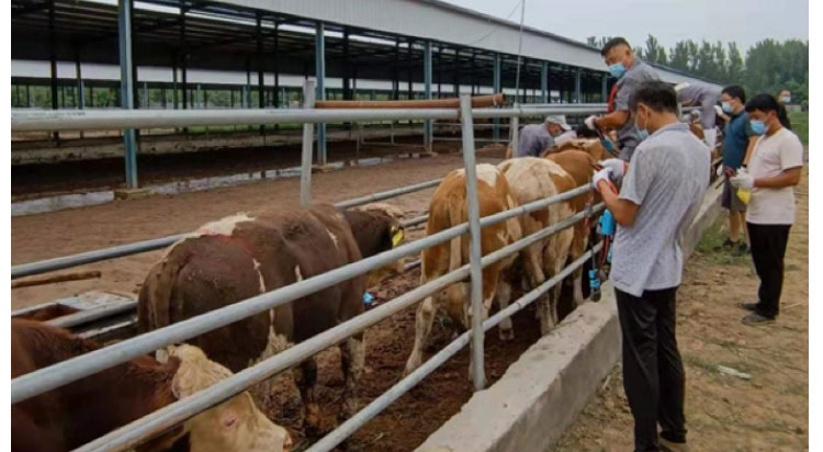 �ͼ�app��(�й���½)�ٷ���վ