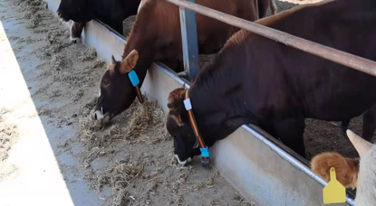 ºÍ¼Çapp¡¤(Öйú´ó½)¹Ù·½ÍøÕ¾