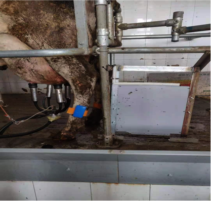 ºÍ¼Çapp¡¤(Öйú´ó½)¹Ù·½ÍøÕ¾