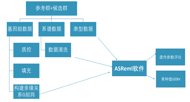 �ͼ�app��(�й���½)�ٷ���վ