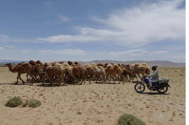 �ͼ�app��(�й���½)�ٷ���վ