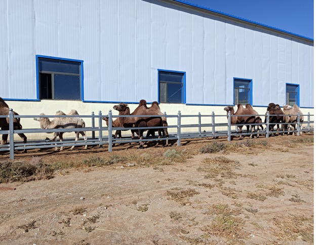 �ͼ�app��(�й���½)�ٷ���վ