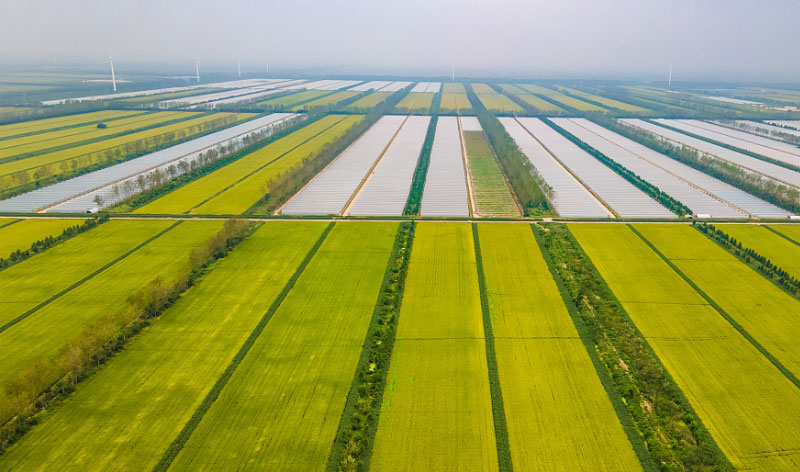 �ͼ�app��(�й���½)�ٷ���վ