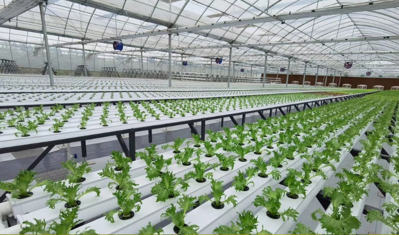 �ͼ�app��(�й���½)�ٷ���վ