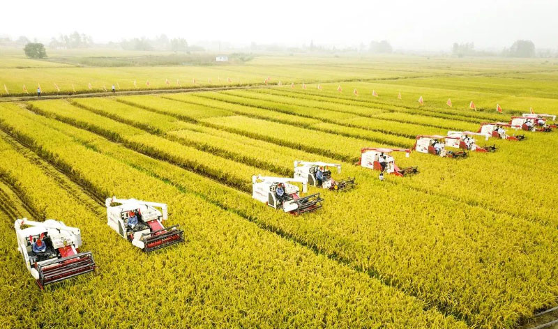 �ͼ�app��(�й���½)�ٷ���վ