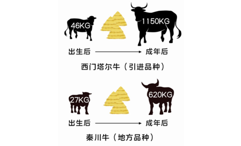 �ͼ�app��(�й���½)�ٷ���վ