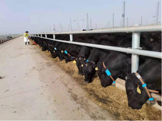 �ͼ�app��(�й���½)�ٷ���վ