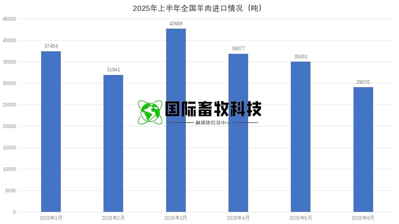 20250722145464146414 和记app·(中国大陆)官方网站