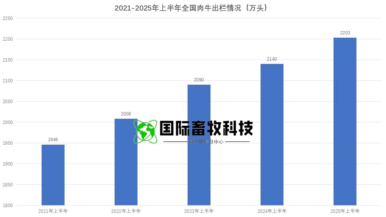 2025072214570125125 和记app·(中国大陆)官方网站